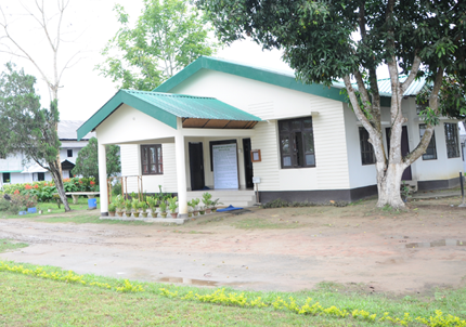 anandabag